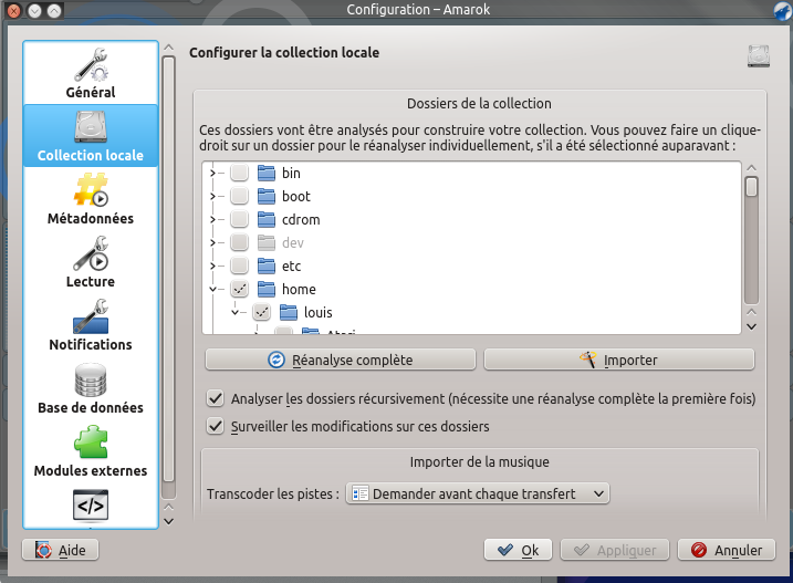 File:Amarok 2.8 ConfigurationDialogLocalCollection FR.png