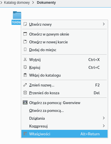 File:Customize-folder-icon-1-pl PL.png